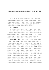 县实施新时代年轻干部成长工程情况汇报 (1)