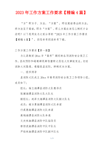 2023年工作方案工作要求【精编4篇】