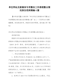 单位网站及新媒体专项整治工作清理整合情况报告范例精编4篇