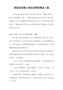 客服试用期心得总结简短精选5篇