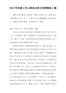2023年民族工作心得体会范文范例精选5篇