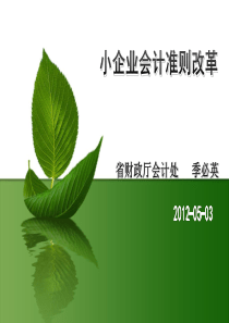 小企业会计准则讲解1季必英