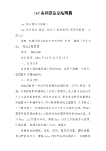 cad实训报告总结两篇
