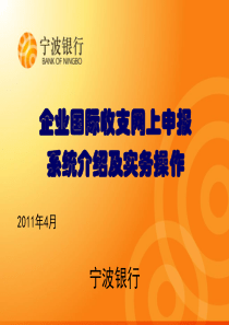 宁波银行国际收支网上申报系统介绍及实务