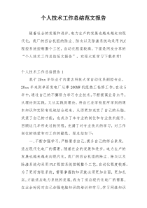 个人技术工作总结范文报告