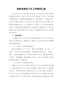 桂林市家电下乡工作情况汇报