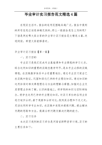 毕业审计实习报告范文精选4篇