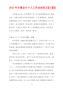 2023年乡镇会计个人工作总结范文【4篇】