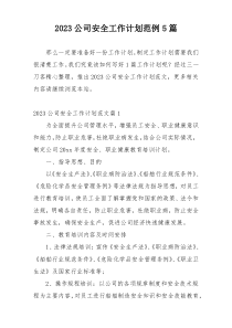 2023公司安全工作计划范例5篇