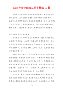 2023年会计助理总结字精选10篇