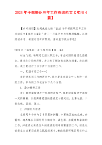 2023年干部提职三年工作总结范文【实用4篇】