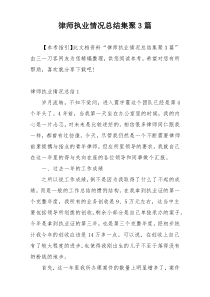 律师执业情况总结集聚3篇