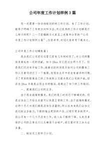 公司年度工作计划样例3篇