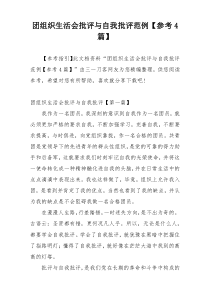 团组织生活会批评与自我批评范例【参考4篇】