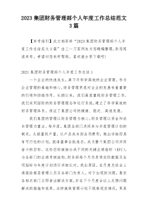 2023集团财务管理部个人年度工作总结范文3篇