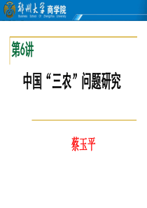 宏观经济形势分析6中国“三农”问题研究
