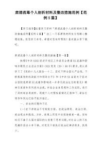 肃清流毒个人剖析材料及整改措施范例【范例5篇】