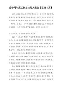 分公司年度工作总结范文报告【汇编4篇】