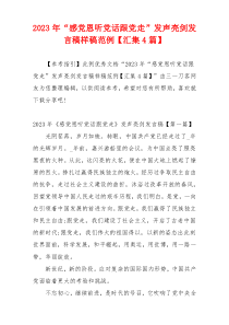 2023年“感党恩听党话跟党走”发声亮剑发言稿样稿范例【汇集4篇】