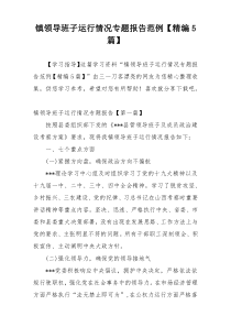 镇领导班子运行情况专题报告范例【精编5篇】