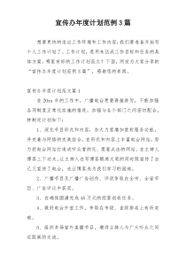 宣传办年度计划范例3篇