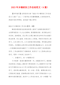 2023年乡镇政协工作总结范文（4篇）