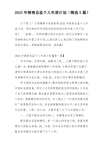 2023年销售总监个人年度计划（精选5篇）