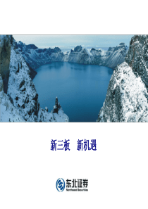 新三板新机遇(东北证券--最新)
