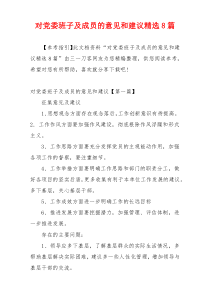 对党委班子及成员的意见和建议精选8篇