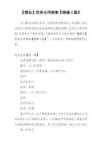 【精品】担保合同锦集【精编4篇】