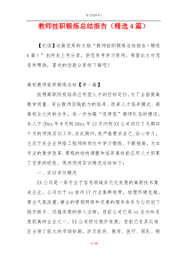 教师挂职锻炼总结报告（精选4篇）