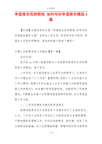 审查报告范例简短 如何写好审查报告精选4篇