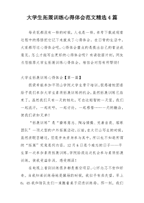 大学生拓展训练心得体会范文精选4篇