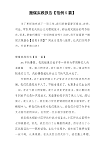 搬煤实践报告【范例5篇】