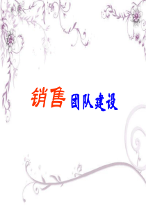 销售团队建设（76P）