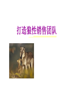 打造狼性销售团队（40P）