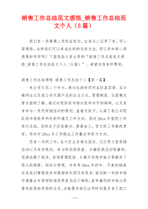 销售工作总结范文感悟_销售工作总结范文个人（5篇）