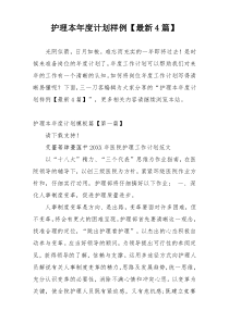 护理本年度计划样例【最新4篇】