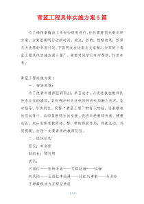 青蓝工程具体实施方案5篇