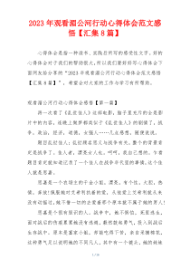 2023年观看湄公河行动心得体会范文感悟【汇集8篇】