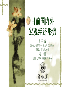 当前国内外经济形势分析及展望()