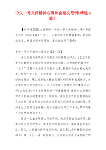 中央一号文件精神心得体会范文范例（精选4篇）