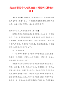 党支部书记个人对照检查材料范例【精编5篇】