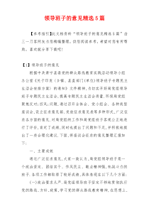 领导班子的意见精选5篇