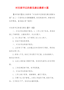 对支部书记的意见建议最新8篇