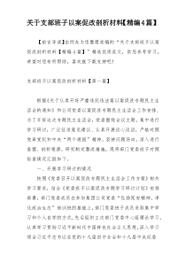 关于支部班子以案促改剖析材料【精编4篇】