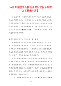 2023年基层卫生院公共卫生工作总结范文【精编5篇】