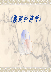 微观经济学绪论