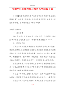 大学生社会实践实习报告范文精编3篇