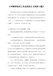 小学教师培训工作总结范文【范例5篇】